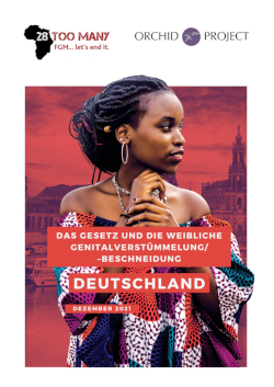 Germany: The Law and FGM/C (2021, German)